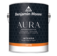 Aura Interior Paint
